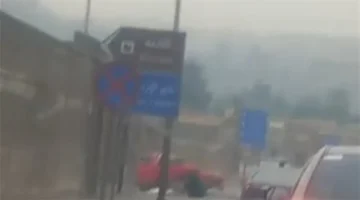 طقس القاهرة.. تراجع ملحوظ في درجات الحرارة وظهور شبورة مائية كثيفة بمناطق متفرقة